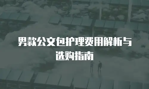 男款公文包护理费用解析与选购指南