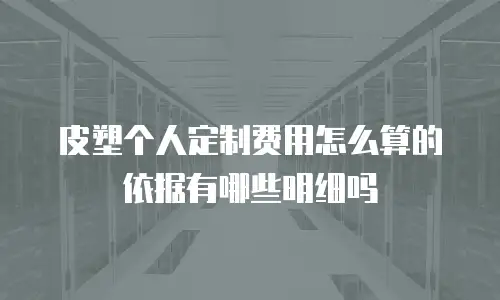 皮塑个人定制费用怎么算的依据有哪些明细吗
