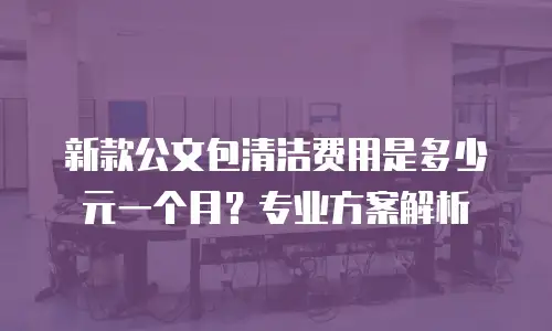 新款公文包清洁费用是多少元一个月？专业方案解析