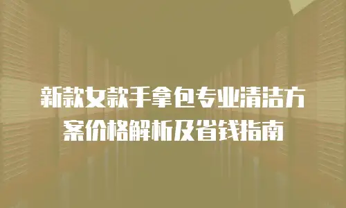 新款女款手拿包专业清洁方案价格解析及省钱指南