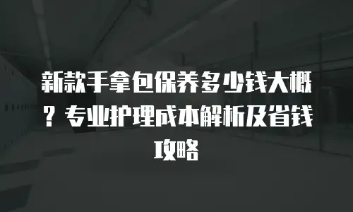 新款手拿包保养多少钱大概？专业护理成本解析及省钱攻略
