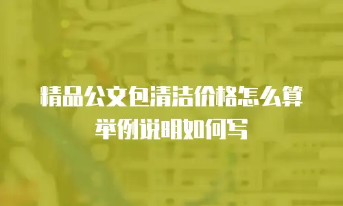 精品公文包清洁价格怎么算举例说明如何写