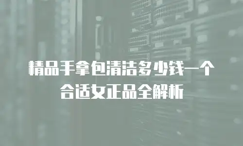 精品手拿包清洁多少钱一个合适女正品全解析