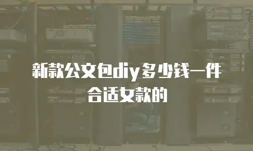 新款公文包diy多少钱一件合适女款的
