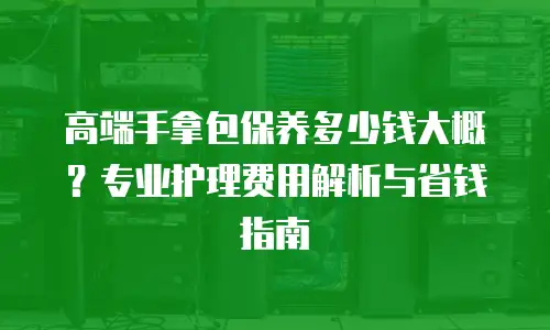 高端手拿包保养多少钱大概？专业护理费用解析与省钱指南