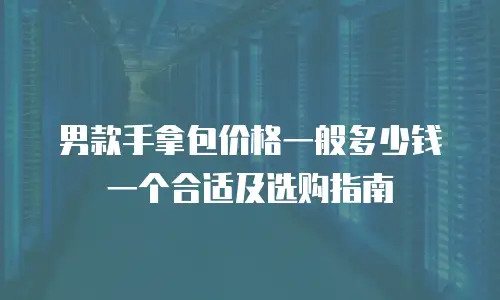 男款手拿包价格一般多少钱一个合适及选购指南