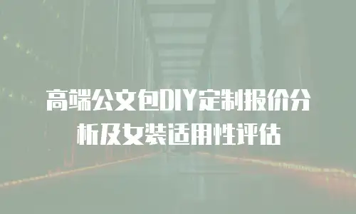 高端公文包DIY定制报价分析及女装适用性评估