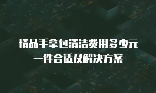 精品手拿包清洁费用多少元一件合适及解决方案