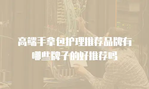 高端手拿包护理推荐品牌有哪些牌子的好推荐吗