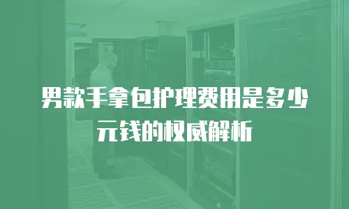 男款手拿包护理费用是多少元钱的权威解析