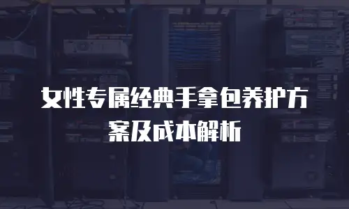 女性专属经典手拿包养护方案及成本解析