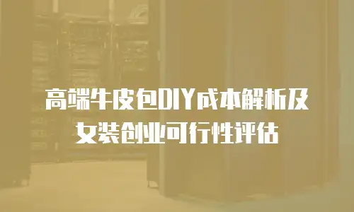 高端牛皮包DIY成本解析及女装创业可行性评估