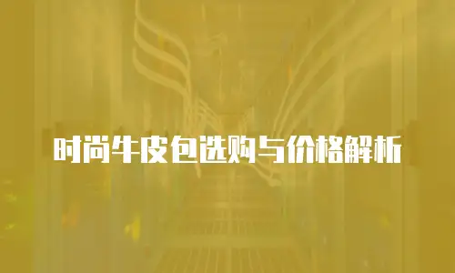 时尚牛皮包选购与价格解析