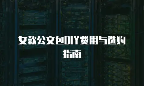 女款公文包DIY费用与选购指南