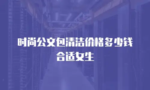时尚公文包清洁价格多少钱合适女生