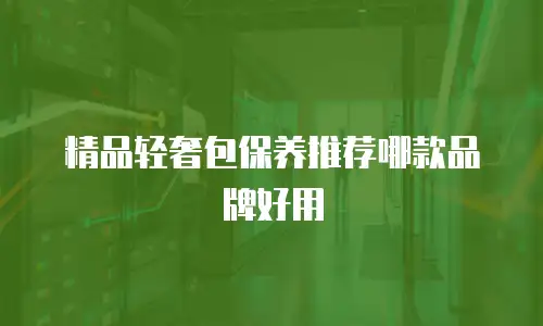 精品轻奢包保养推荐哪款品牌好用