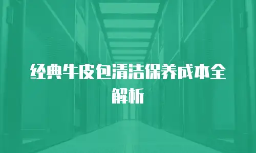 经典牛皮包清洁保养成本全解析