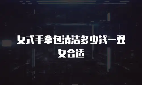 女式手拿包清洁多少钱一双女合适