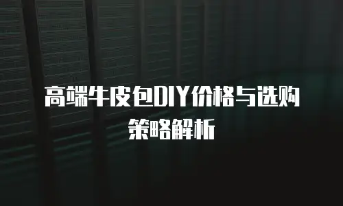 高端牛皮包DIY价格与选购策略解析