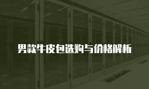男款牛皮包选购与价格解析