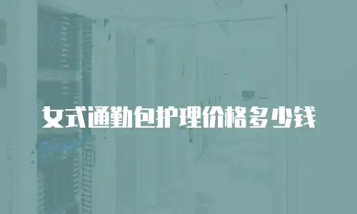 女式通勤包护理价格多少钱