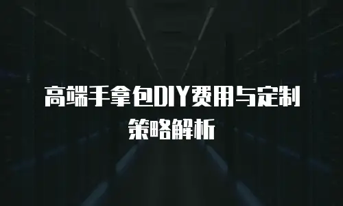 高端手拿包DIY费用与定制策略解析