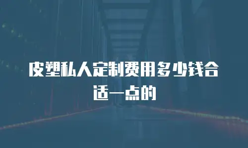 皮塑私人定制费用多少钱合适一点的