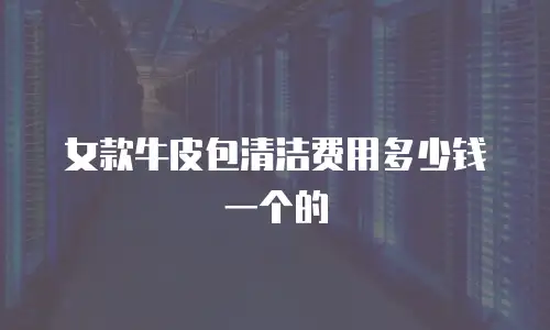 女款牛皮包清洁费用多少钱一个的