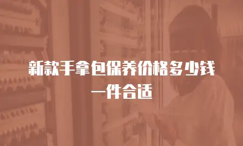 新款手拿包保养价格多少钱一件合适