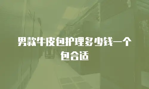 男款牛皮包护理多少钱一个包合适