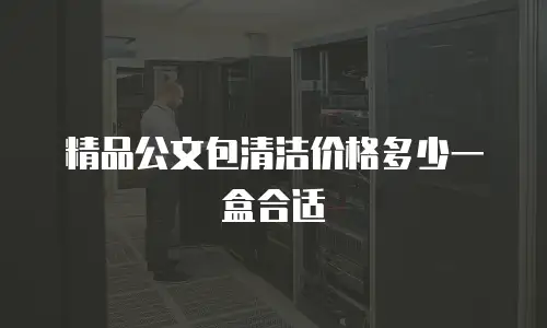精品公文包清洁价格多少一盒合适