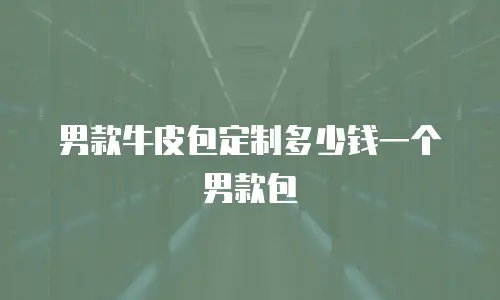 男款牛皮包定制多少钱一个男款包