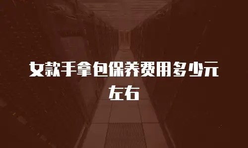 女款手拿包保养费用多少元左右