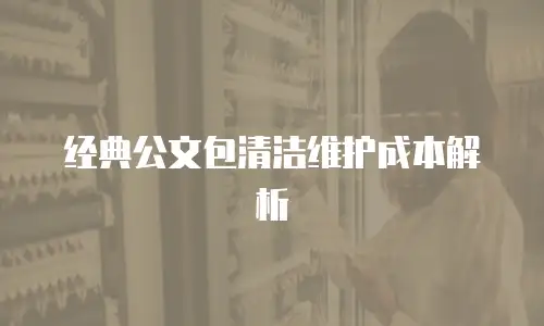 经典公文包清洁维护成本解析