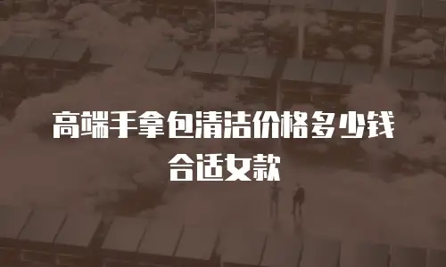高端手拿包清洁价格多少钱合适女款