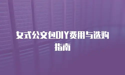 女式公文包DIY费用与选购指南