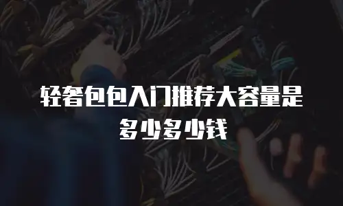 轻奢包包入门推荐大容量是多少多少钱