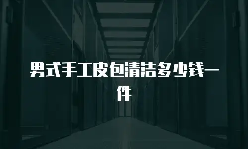 男式手工皮包清洁多少钱一件