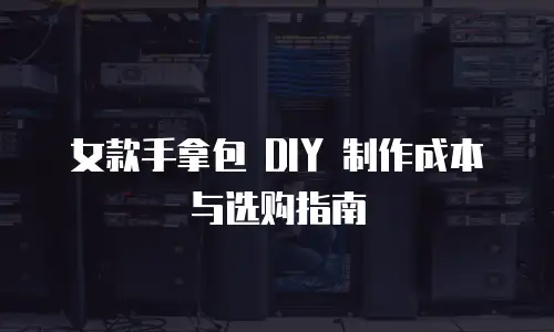 女款手拿包 DIY 制作成本与选购指南