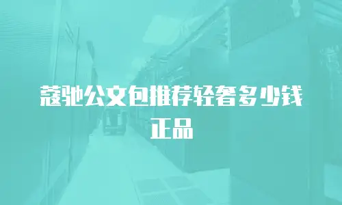 蔻驰公文包推荐轻奢多少钱正品
