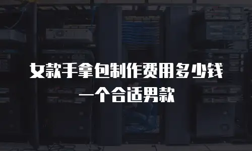 女款手拿包制作费用多少钱一个合适男款