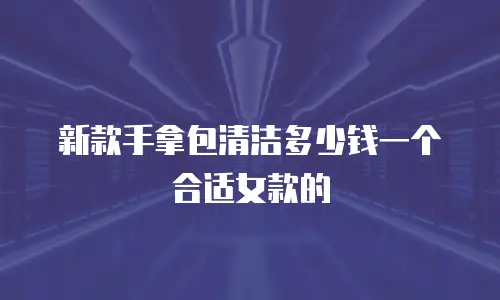 新款手拿包清洁多少钱一个合适女款的