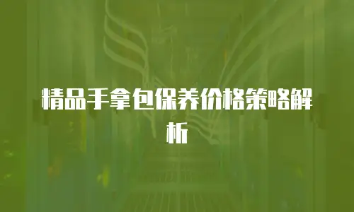 精品手拿包保养价格策略解析