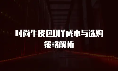 时尚牛皮包DIY成本与选购策略解析