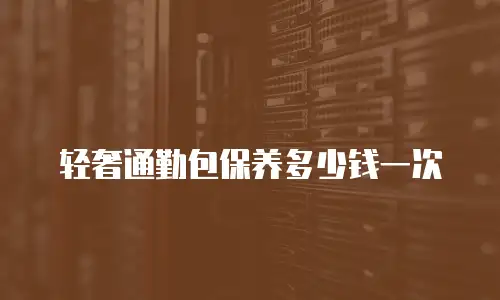 轻奢通勤包保养多少钱一次