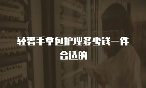 轻奢手拿包护理多少钱一件合适的