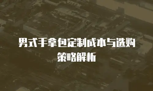 男式手拿包定制成本与选购策略解析