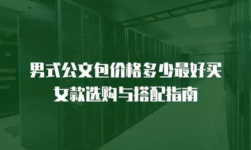 男式公文包价格多少最好买女款选购与搭配指南