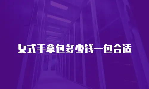 女式手拿包多少钱一包合适
