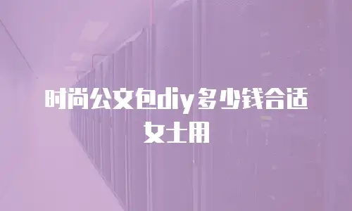 时尚公文包diy多少钱合适女士用